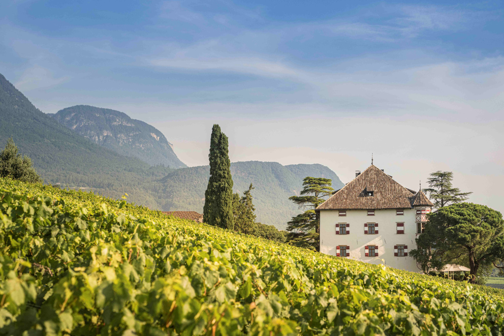 Vigna Castel Ringberg Caldaro Elena Walch estate Alto Adige.jpg